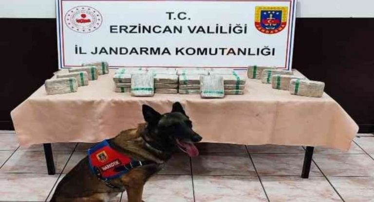 TERCAN ‘DA TIR İÇERİSİNDE 26 KİLO  EROİN ELE GEÇİRİLDİ