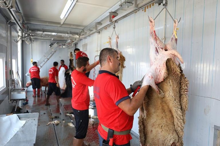 KURBAN BAYRAMINDA 2 MİLYON KÜÇÜK, 850 BİNE YAKIN BÜYÜKBAŞ HAYVAN KESİLDİ