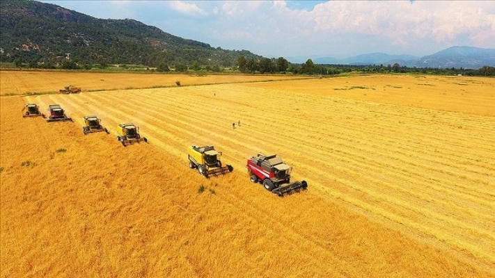 ÇİFTÇİLERE BUĞDAY İÇİN 1 TL, ARPA İÇİN 0,50 TL PRİM DESTEĞİ ÖDENECEK