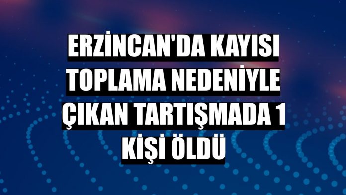 KAYSI CAN ALADI