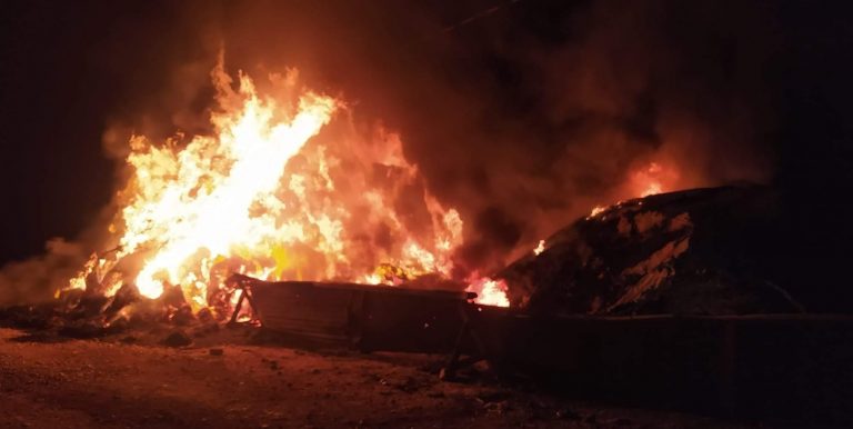 TERCAN’DA 2700 BAĞ OT YANDI KÜL OLDU