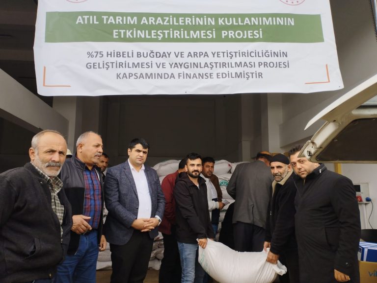 TERCAN’DA 515 ÇİFTÇİYE GÜZLÜK BUĞDAY VE ARPA DAĞITIMI
