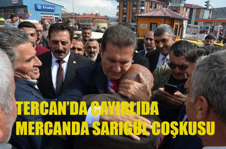 TERCAN’DA ÇAYIRLI’DA ,MERCAN’DA SARIGÜL COŞKUSU