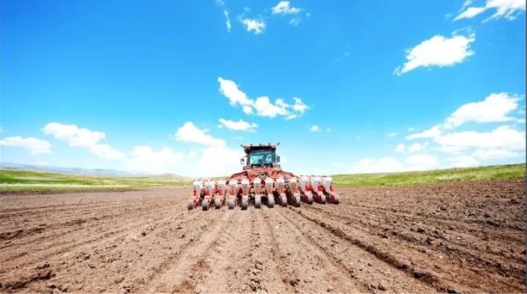 ERZİNCAN SEZONUNDA 60 BİN TON ŞEKER PANCARI HEDEFLİYOR