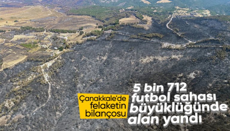 ÇANAKKALE’DE YANGIN’DA   4 BİN 80 HEKTAR ALAN KÜL OLDU