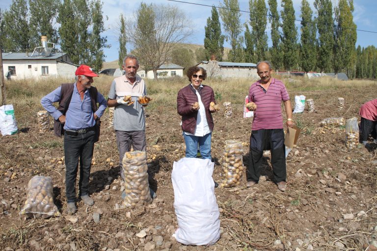 TERCAN ÇİFÇİSİ BUĞDAYINDAN, PANCARINA, PATATESİNDE, BALINA KADAR UMDUĞUNU BULAMIYOR