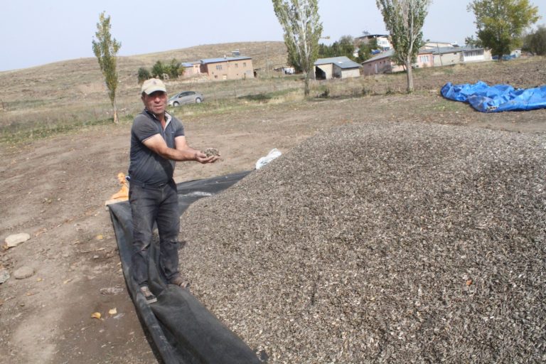 EK DEDİLER EKTİK, ALAN YOK