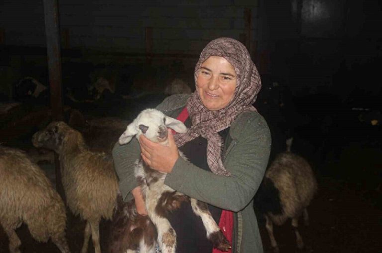 KADIN ÇİFTÇİ“KÖYÜMDE YAŞAMAK İÇİN BİR SÜRÜ NEDENİM VAR ’PROJESİ ’DE  HAYVAN VARLIĞINI 2 KATINA ÇIKARDI