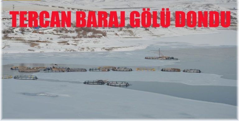 TERCAN BARAJ GÖLÜ DONDU