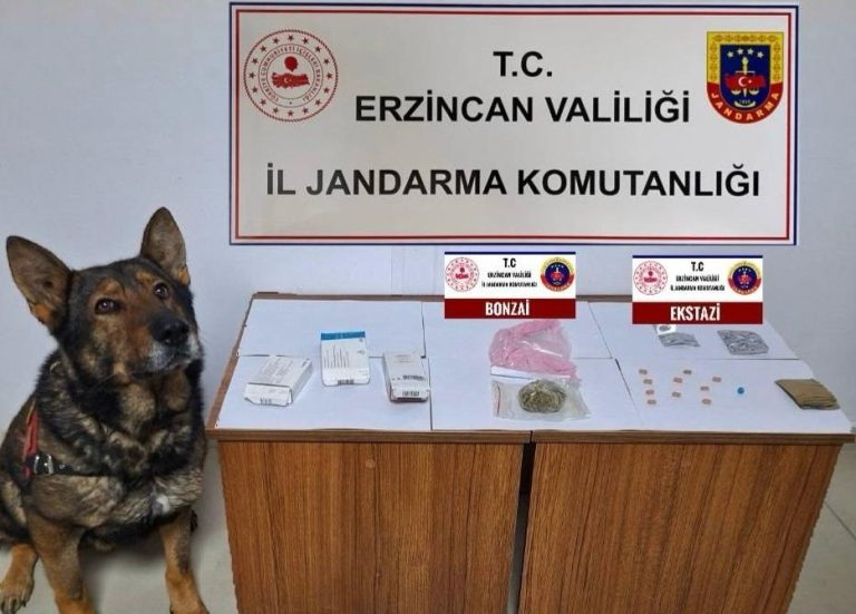 ERZİNCAN İL JANDARMA BİR AYDA İCRA EDİLEN ASAYİŞ, TRAFİK, SİBER, KAÇAKÇILIK VE TERÖR FAALİYETLERİ PAYLAŞILDI.