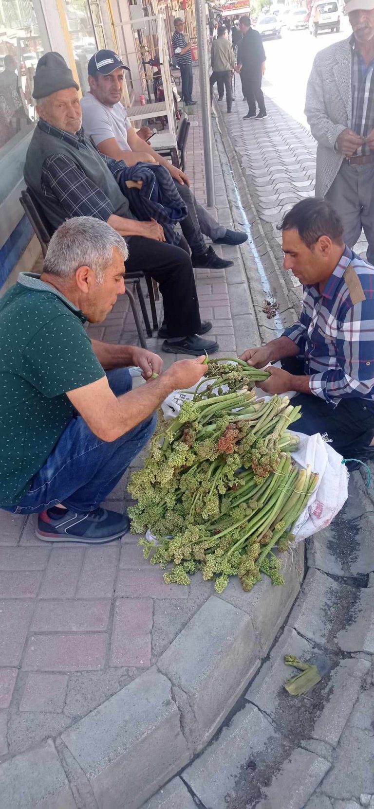 IŞGIN TERCAN’DA TEZGÂHLARDAKİ YERİNİ ALDI 50 İLA 60 TL’DEN SATILIYOR.