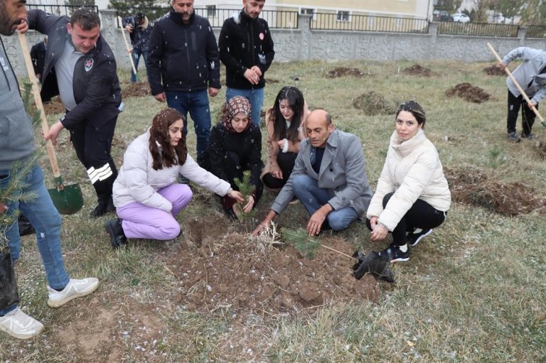 TERCAN’DA FİDANLAR DİKİLDİ  İLK CAN SUYU VERDİ.
