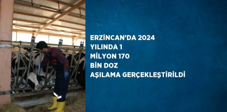 ERZİNCAN’DA 2024 YILINDA BÜYÜKBAŞ VE KÜÇÜKBAŞ HAYVANLARA 1 MİLYON 170 BİN DOZ AŞILAMA YAPILDI